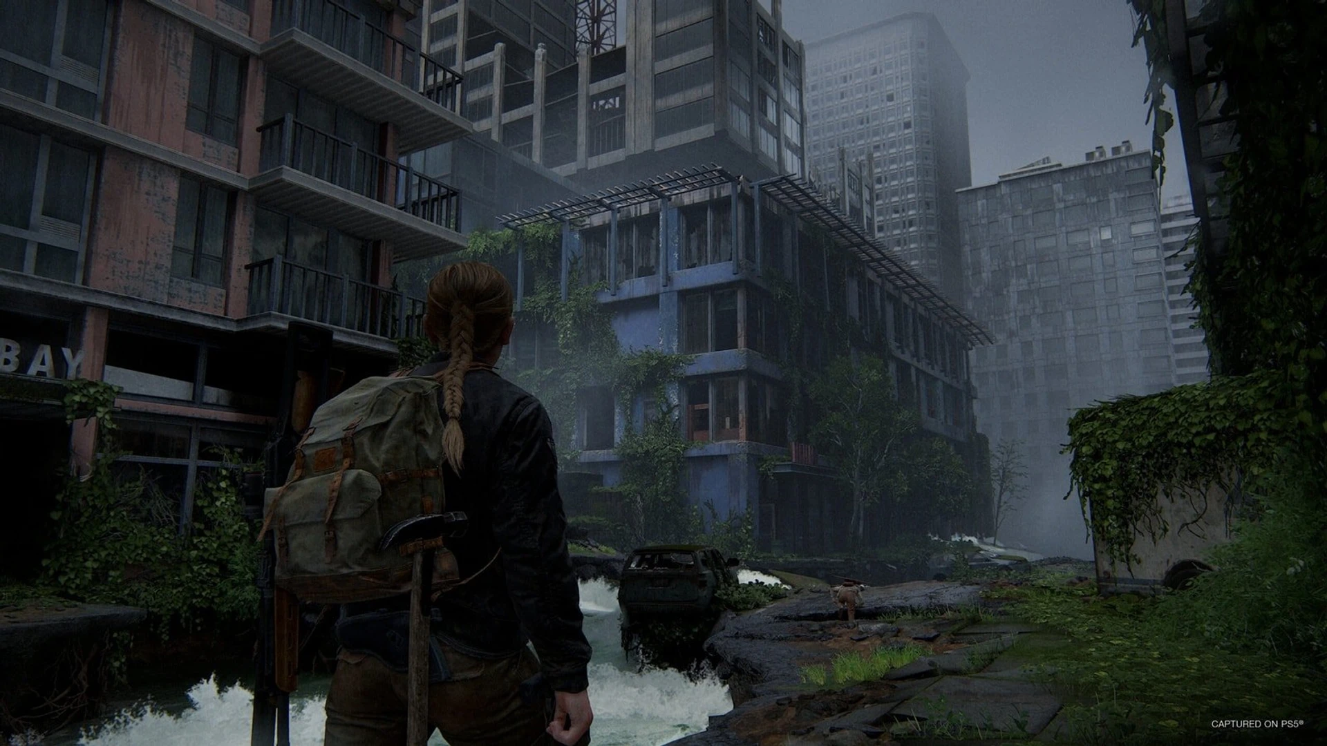 The_Last_of_Us_Part_II_Remastered_09
